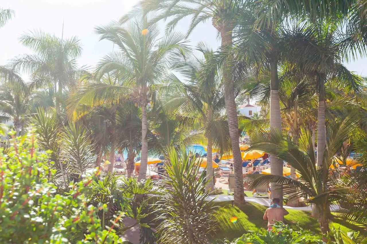 Apartamento Sara En Playa De Las Americas - Sara Vacation Arona  Apartment Arona (Tenerife)